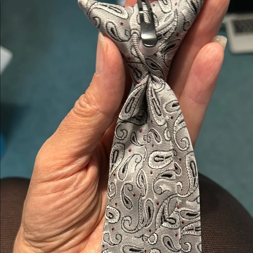 Elegant Paisley and Solid Clip on Tie Set